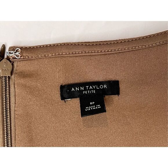 Ann Taylor Seamed Faux Suede Brown Shift Dress 8P Petite Drop‎ Waist Earth Tones - Picture 5 of 11